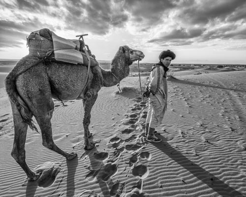 Camel%20driver%20Merzouga