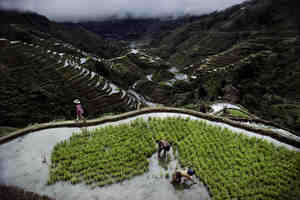 banaue_rice_terraces_in_phillipines
