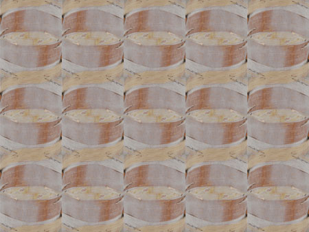 birch_bark
