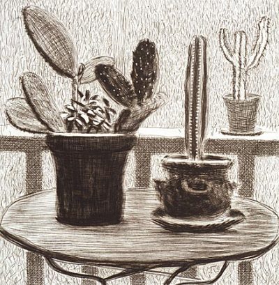 cacti_on_terrace