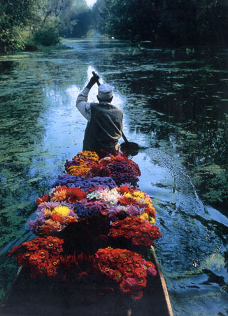 flower_seller