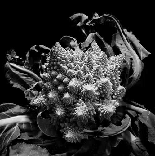 romanesco_cauliflower