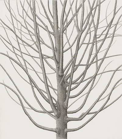 tree_16