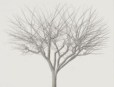 tree_23