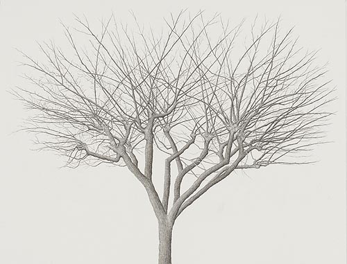 tree_23