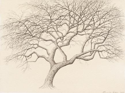 tree_9a