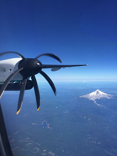 Airplane Wing and Mt Hood1