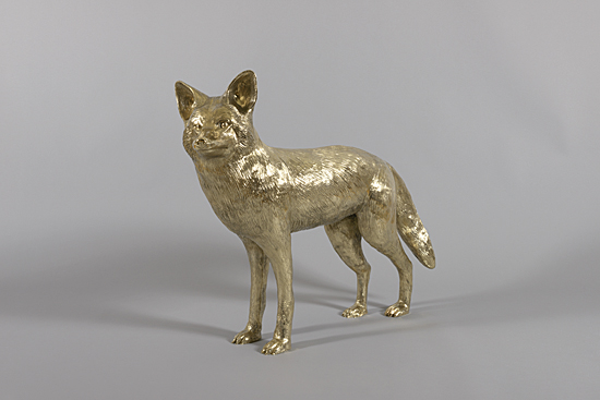 Pasadena Portland Gold Coyote1