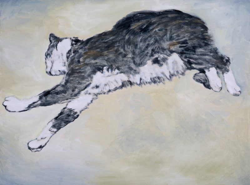 Dissertation meaning picture