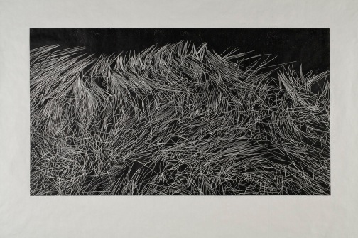 grasses_afloat