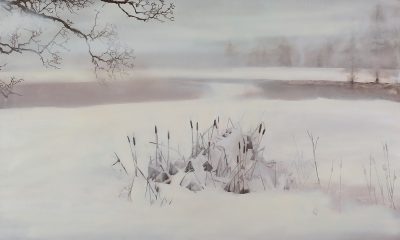 winter landscape