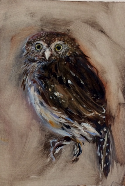 Owl 1390