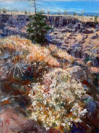 canyon and desert flowers72