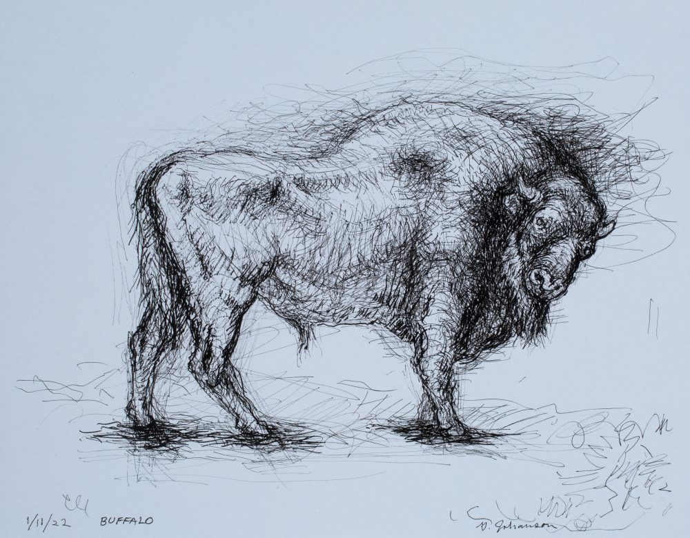 buffalo