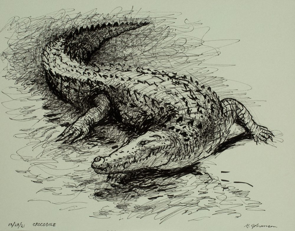 crocodile 2