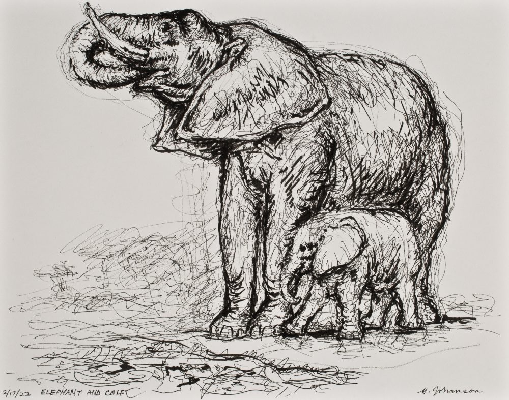 elephant and calf