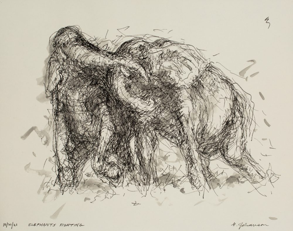 elephants fighting