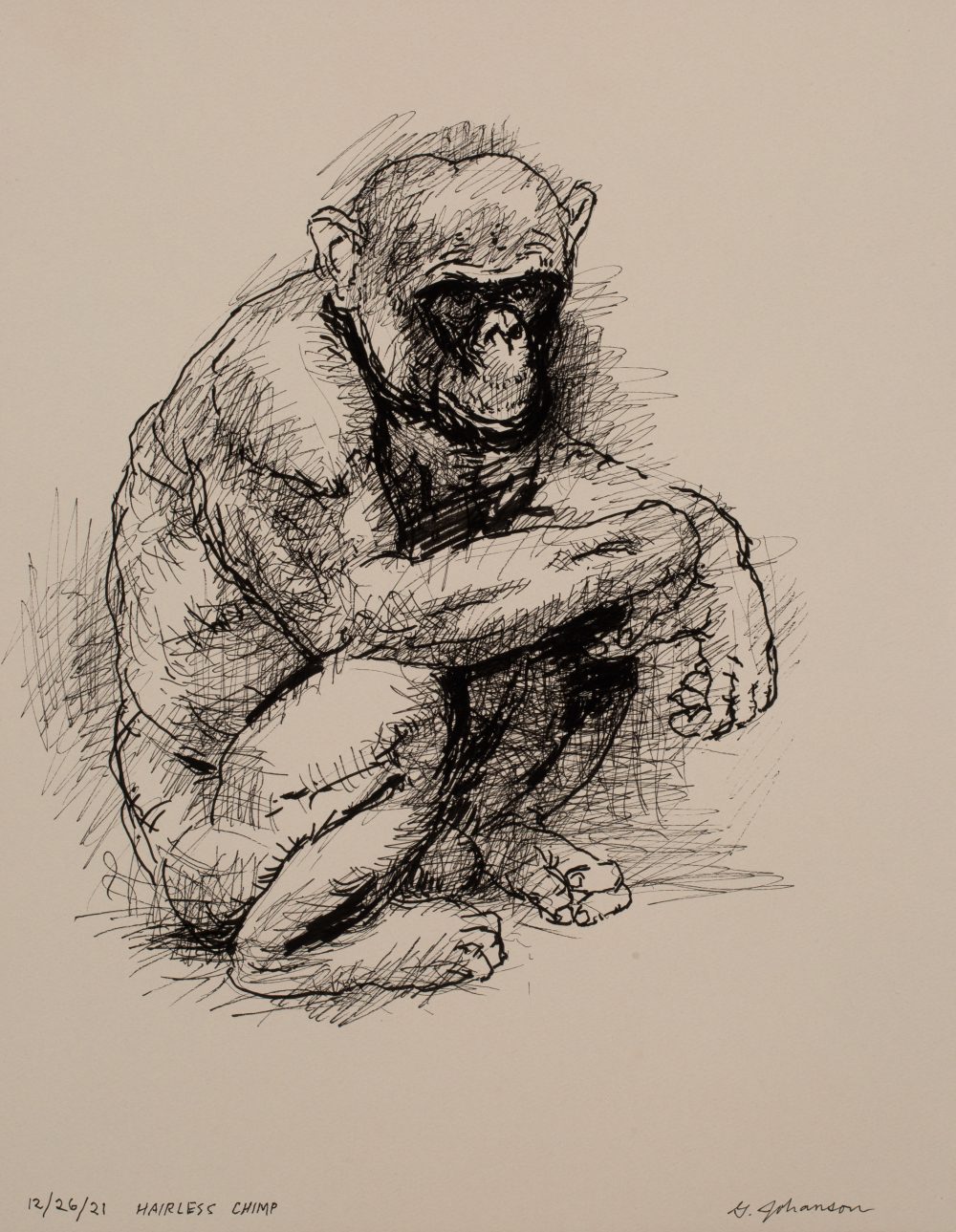 hairless chimp
