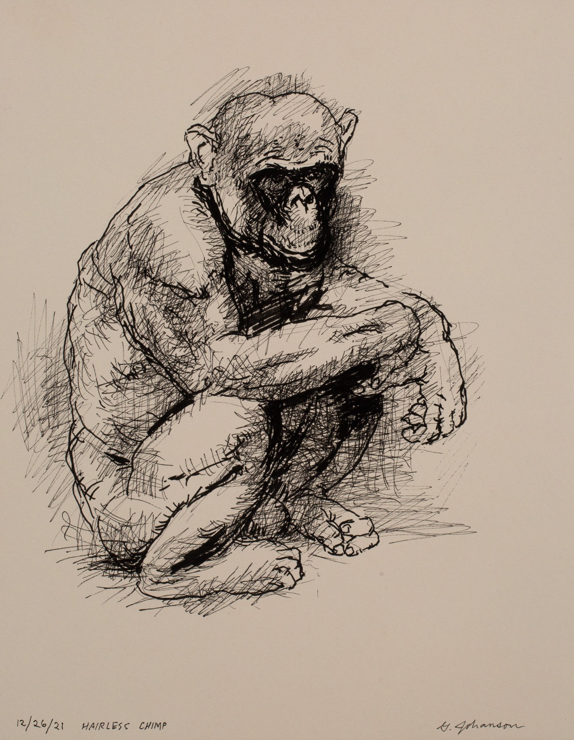 HAIRLESS CHIMP - Augen Gallery