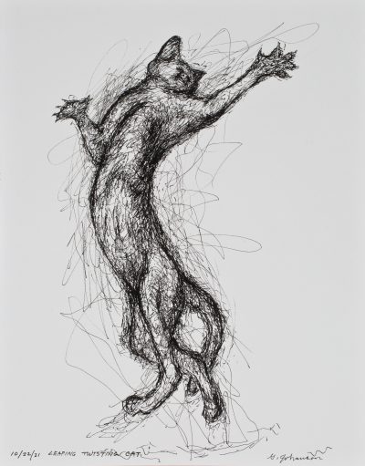 leaping twisting cat