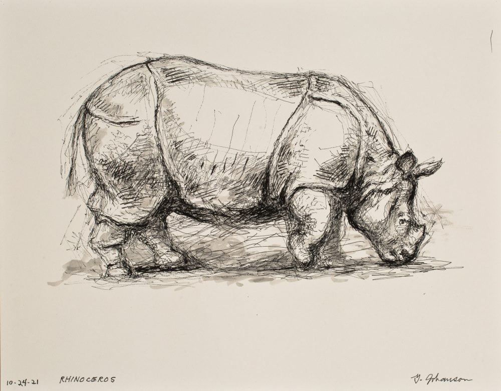 rhinoceros