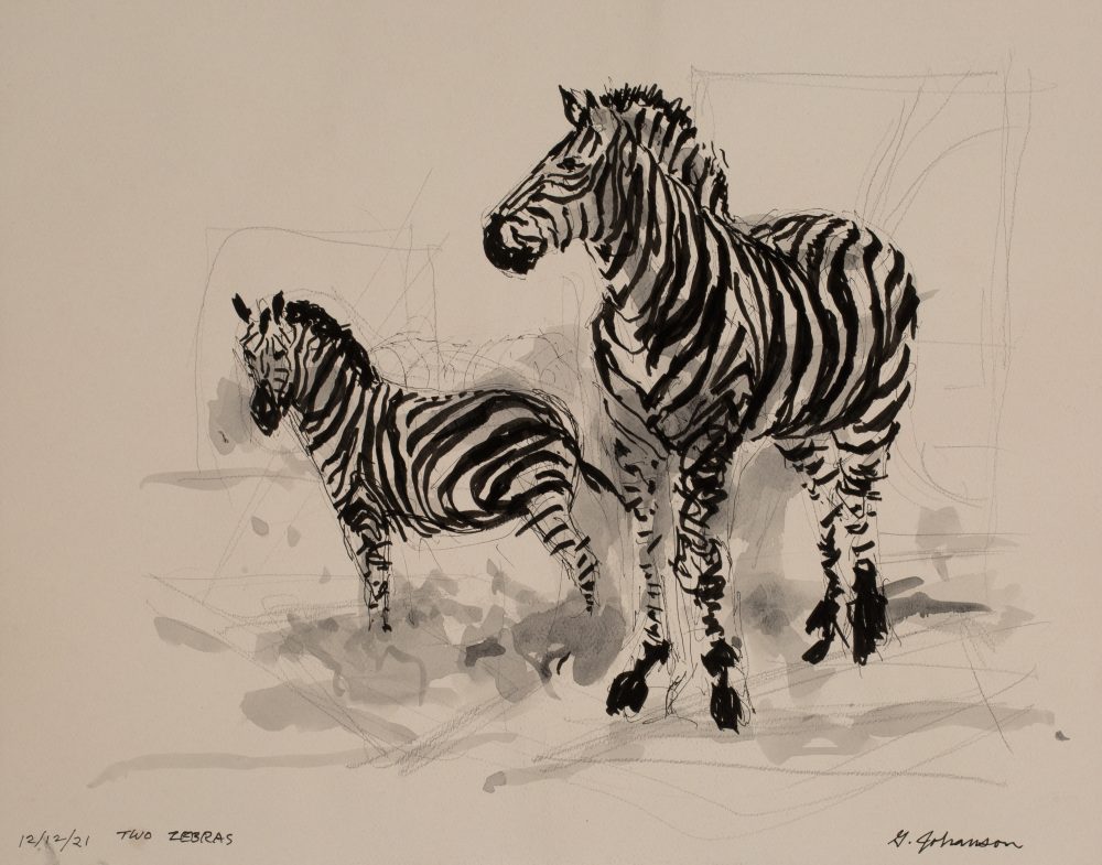 the zebras