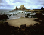 seal rock from ecola point