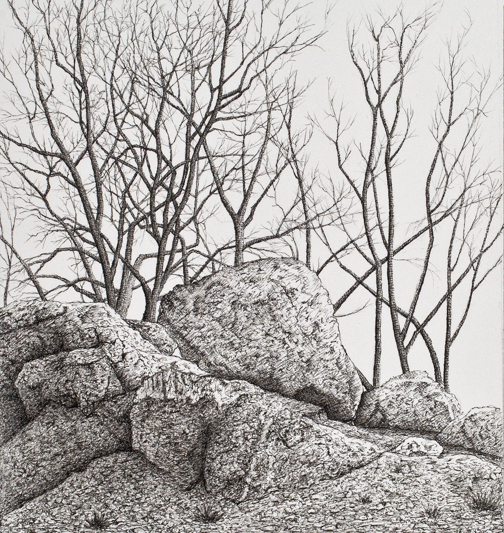 trees and rocks92a