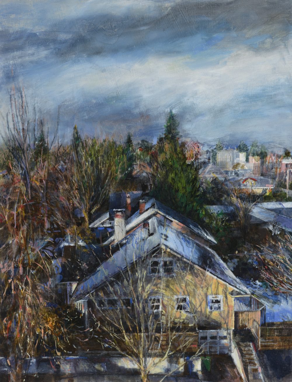 view of north portland in december1