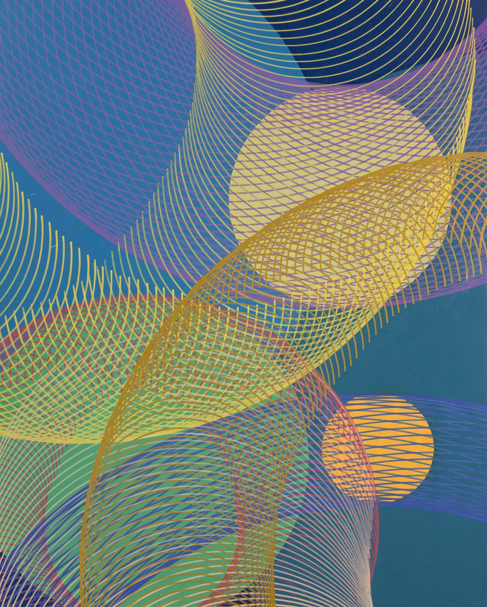 REVEAL - Augen Gallery