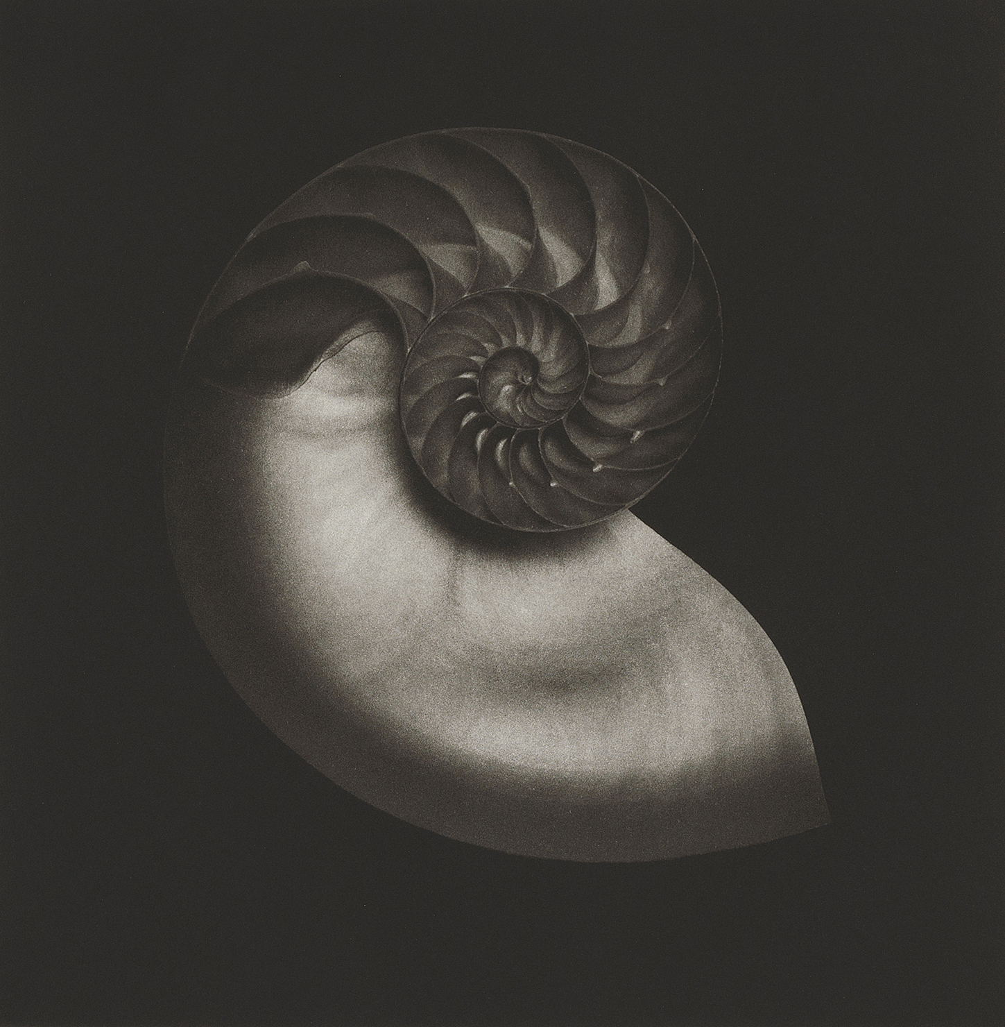 NAUTILUS #3 - Augen Gallery