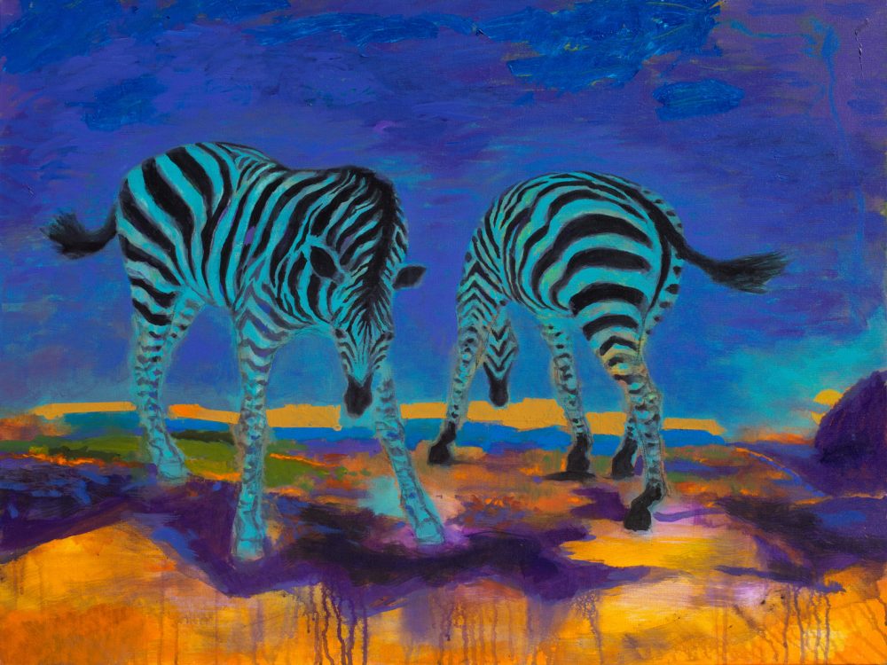 two zebras