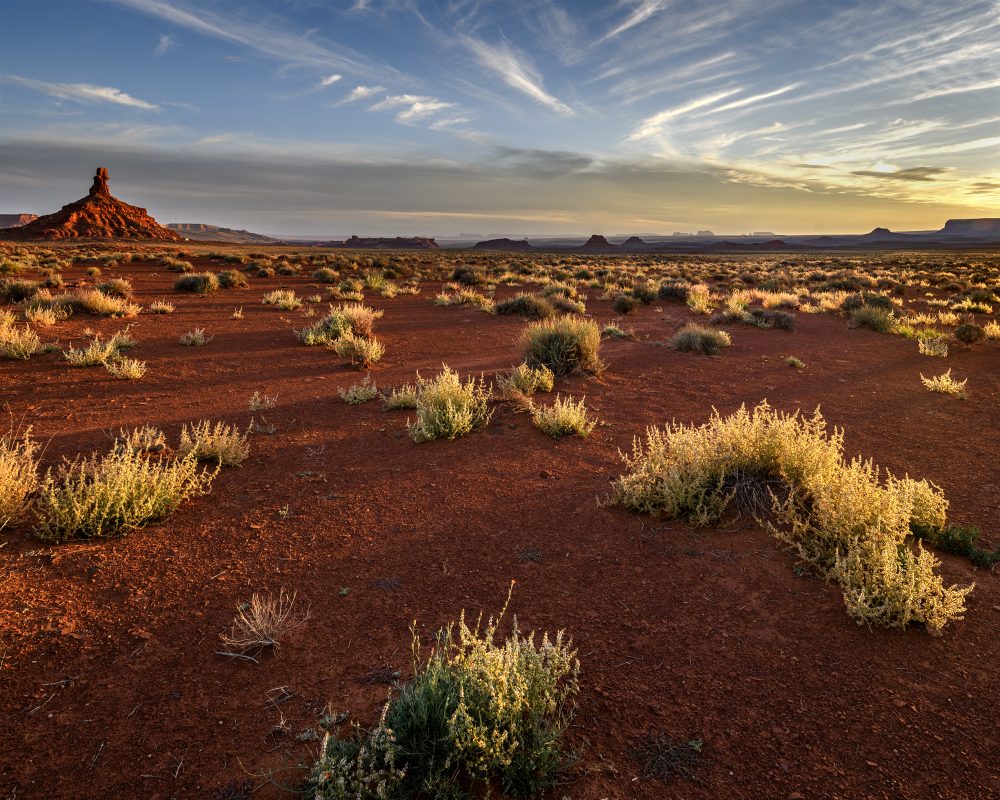 Sunset (with bushes), Valley of the Gods, Utah #4-9607-08