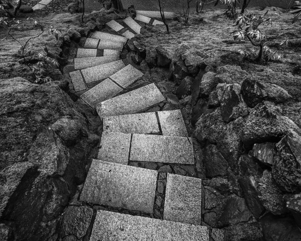 Wet steps, Japanese Gardens (horizontal) #4-5617