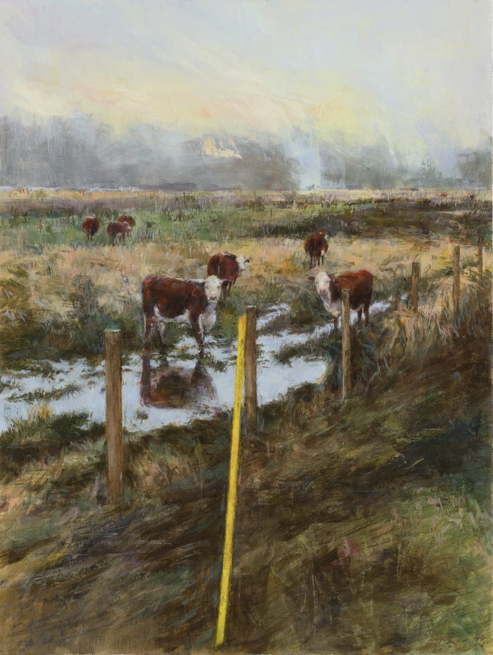 Cows and Yellow Marker