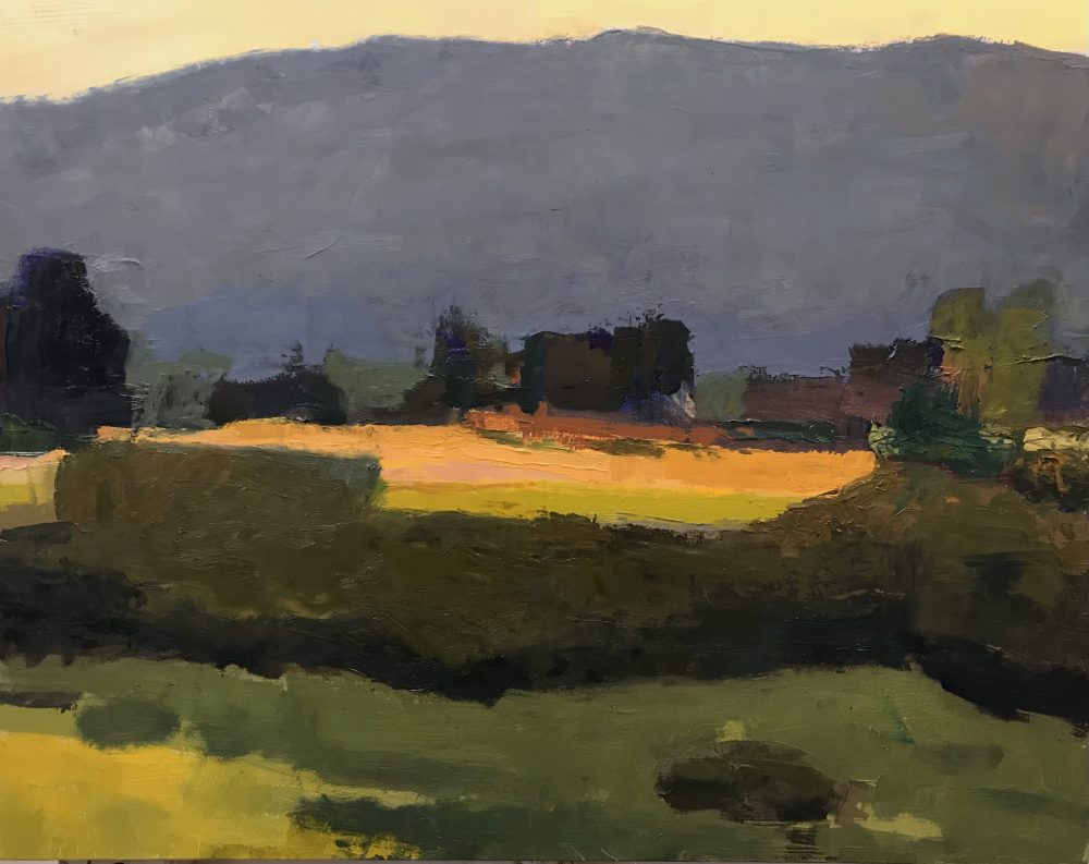 Farmland, Late Afternoon