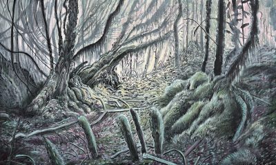 Old Growth Rainforest